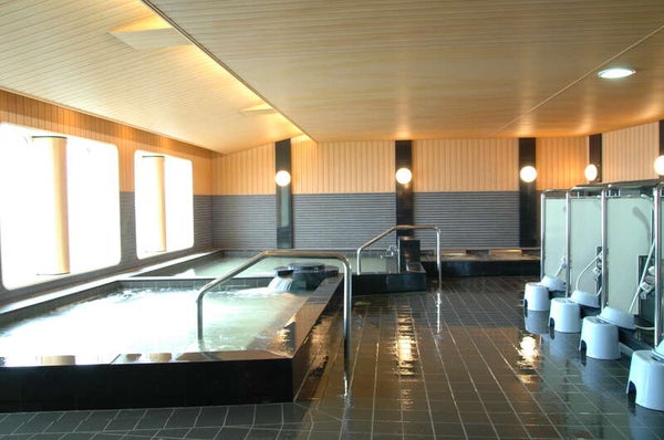 【苫小牧西港発】 太平洋フェリーで行く!白石川堤一目千本桜・ふくしまの桃源郷 花見山公園の桜(3日間)3